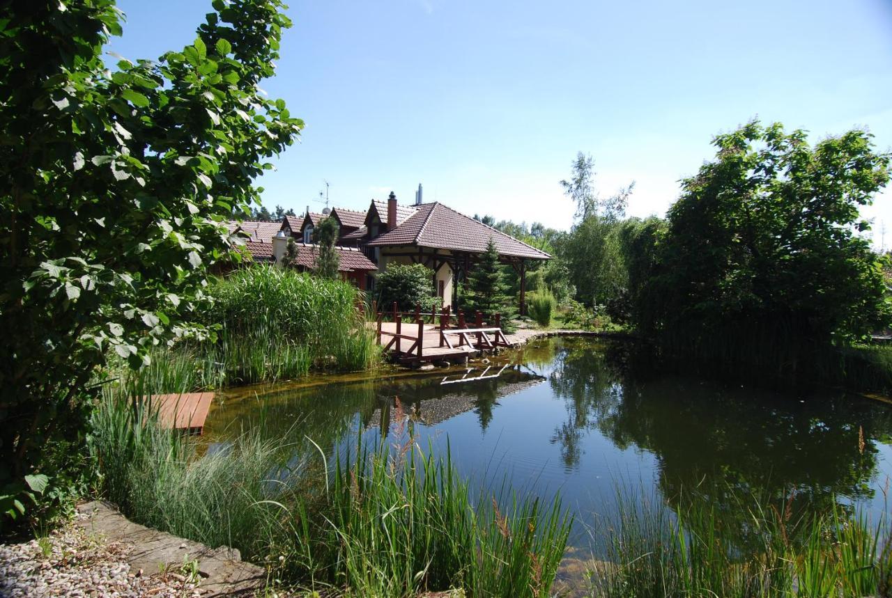 Ivanek Guest House Zvíkovské Podhradí エクステリア 写真