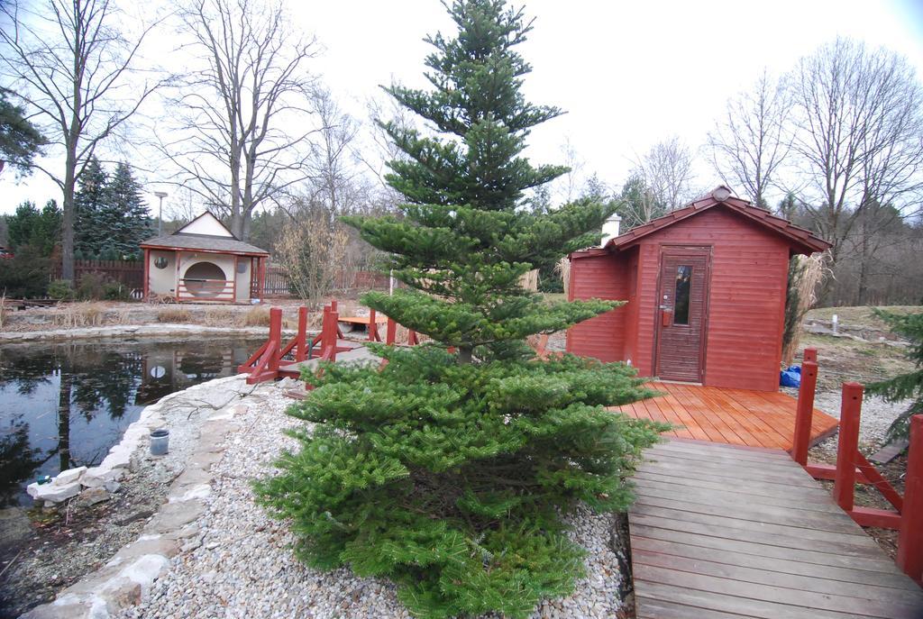 Ivanek Guest House Zvíkovské Podhradí エクステリア 写真