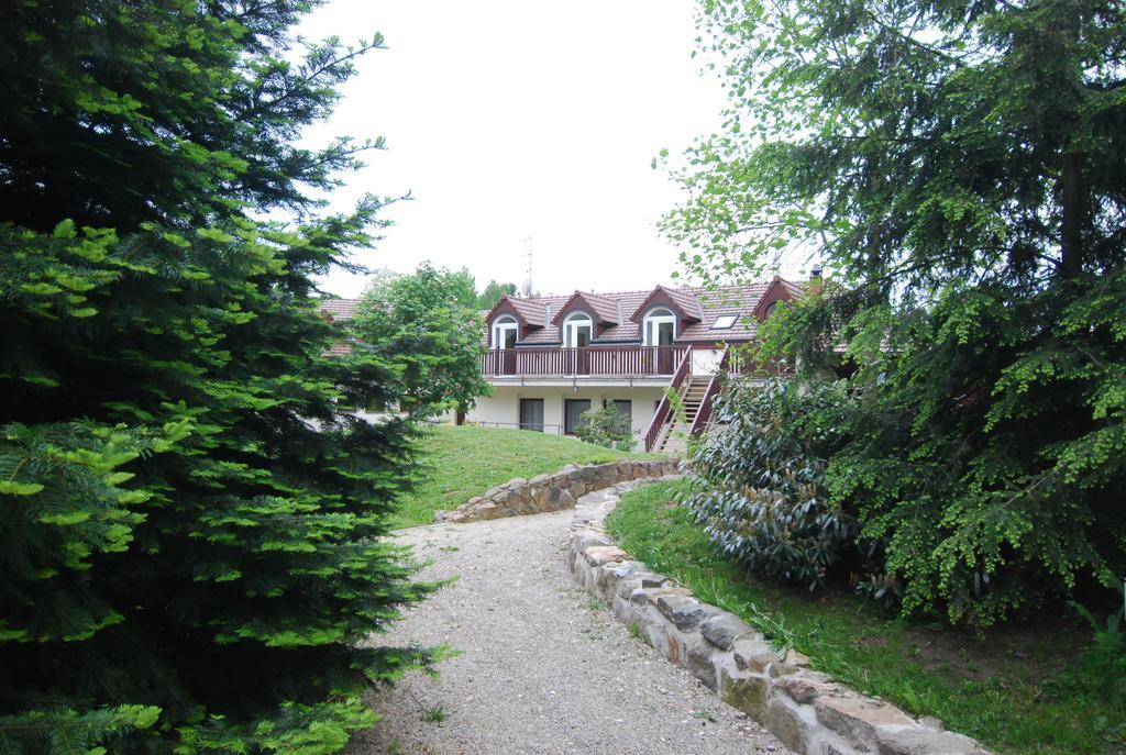 Ivanek Guest House Zvíkovské Podhradí エクステリア 写真