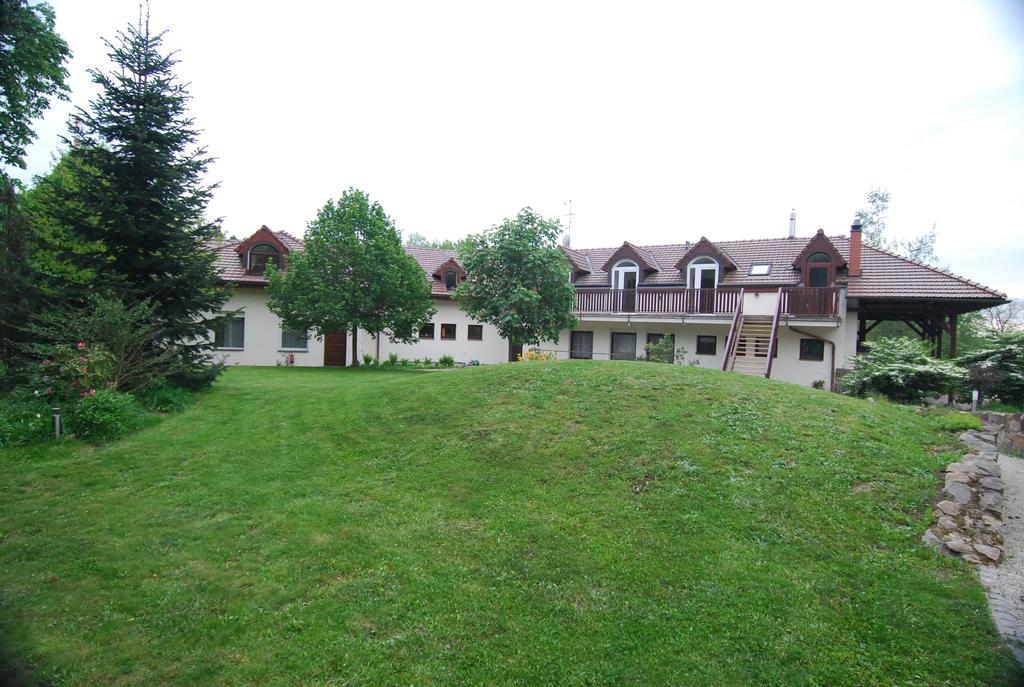Ivanek Guest House Zvíkovské Podhradí エクステリア 写真