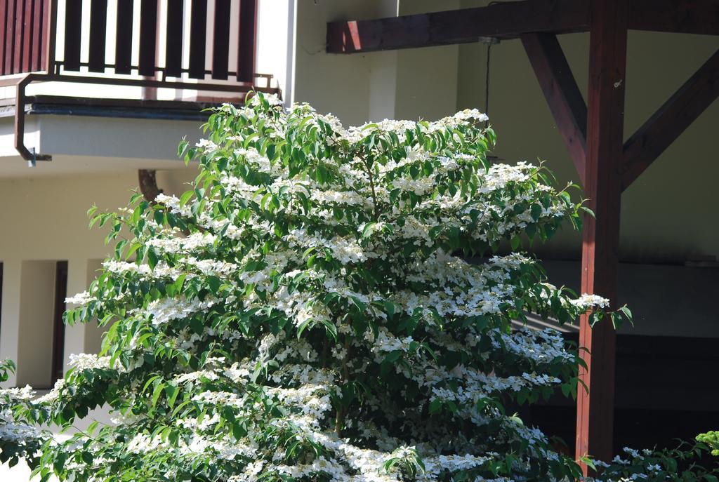 Ivanek Guest House Zvíkovské Podhradí エクステリア 写真