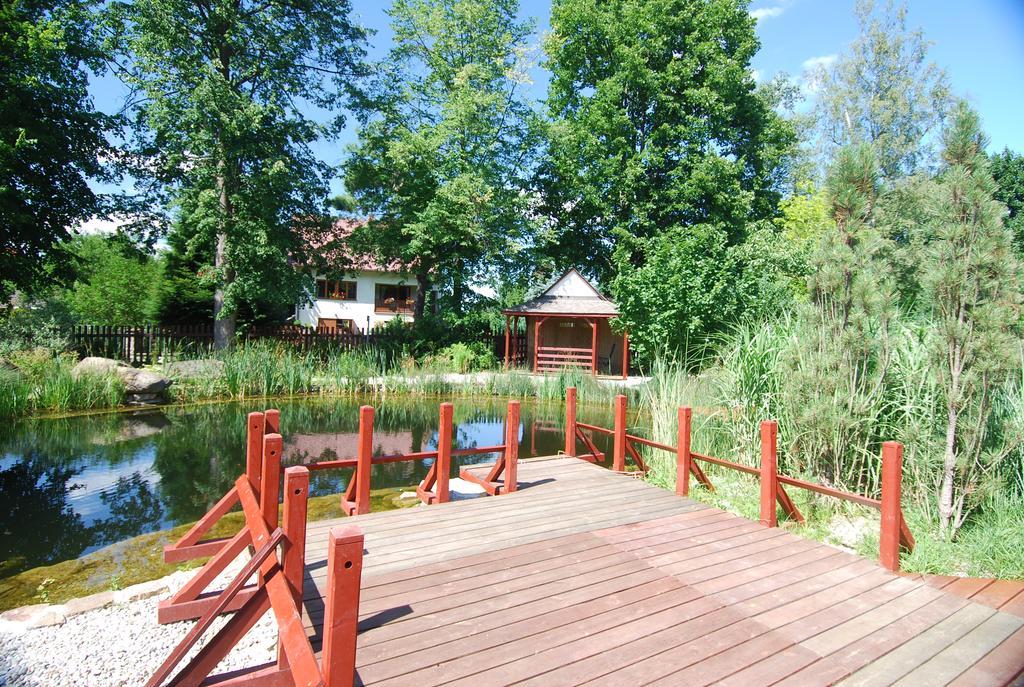 Ivanek Guest House Zvíkovské Podhradí エクステリア 写真