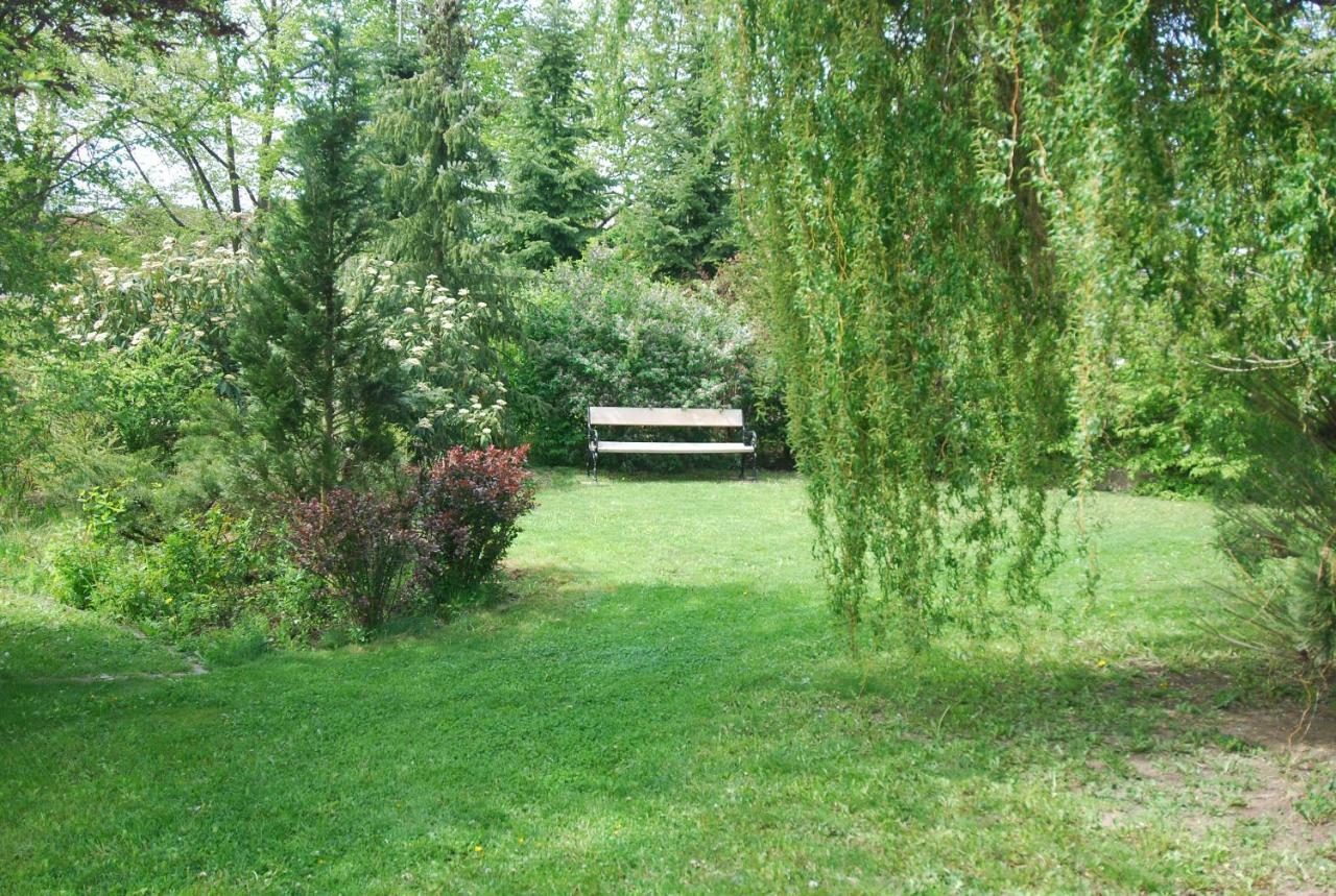 Ivanek Guest House Zvíkovské Podhradí エクステリア 写真