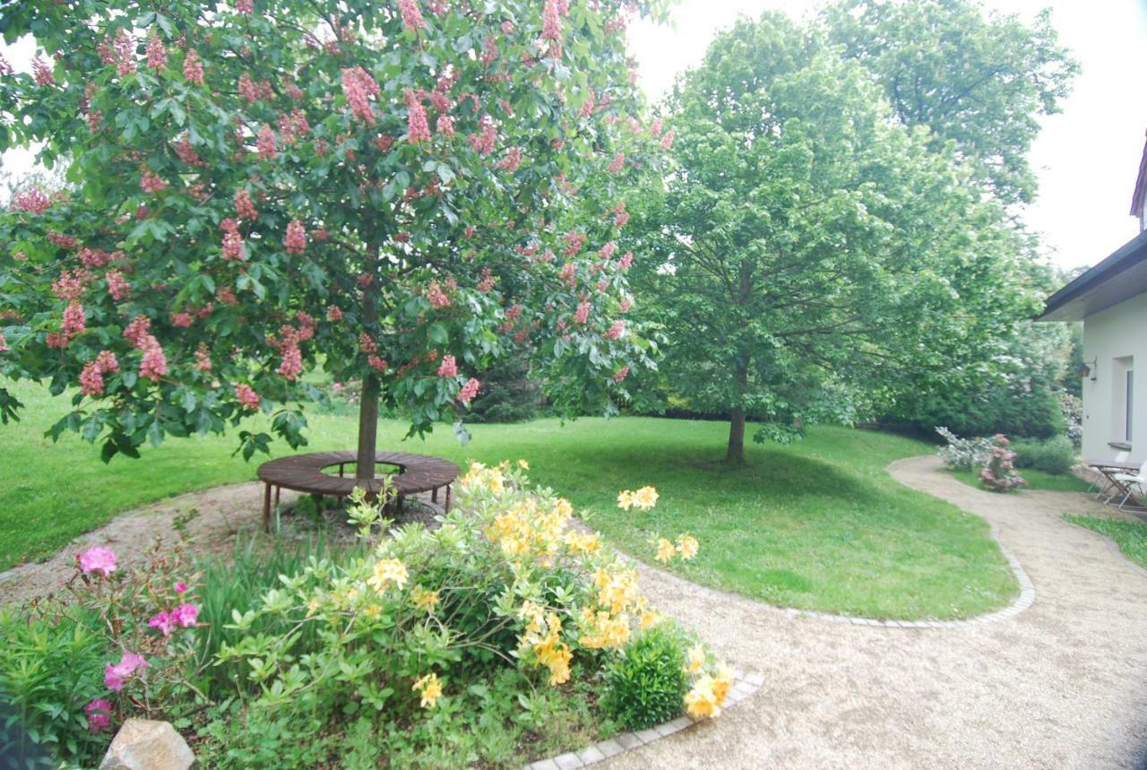 Ivanek Guest House Zvíkovské Podhradí エクステリア 写真